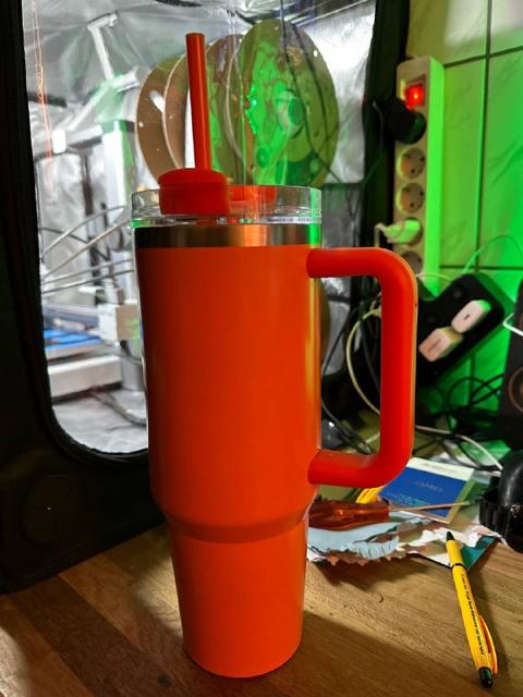 Erica en de Eeuwige Hydratatie: Een Nieuwjaarsuitdaging!