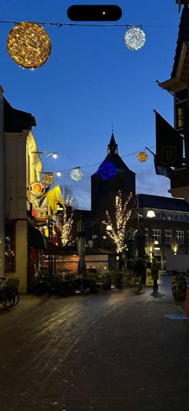 Oldenzaal, waar zelfs de sneeuw danst op carnavalsmuziek!